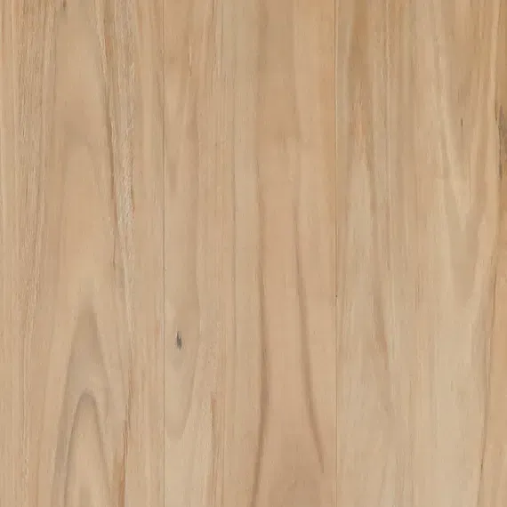 Bunya Blackbutt SFD