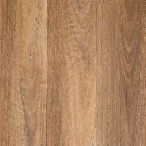 Koonya Spotted Gum SFD