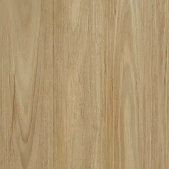 Banksia Blackbutt 18
