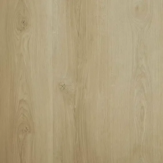 Panorama – Timber