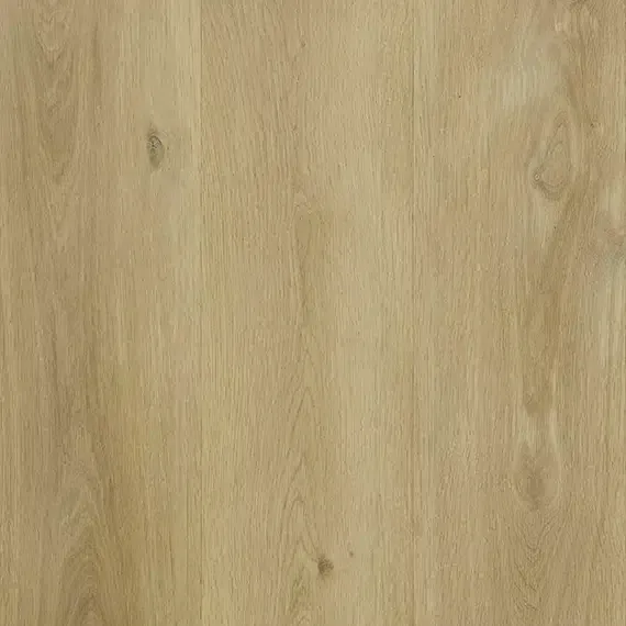 Halifax Oak 13