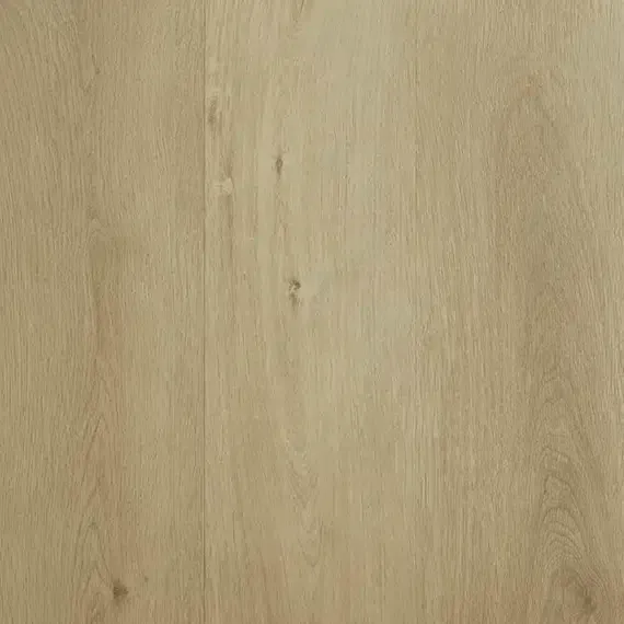 Quinn Oak 12