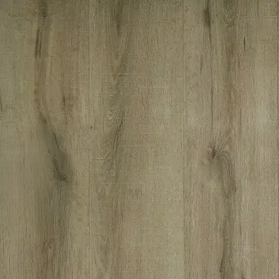 Stradbroke Oak 09