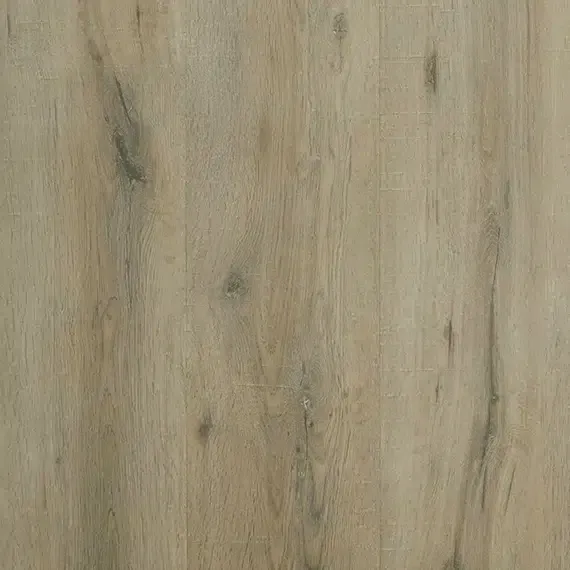Warringal Oak 11