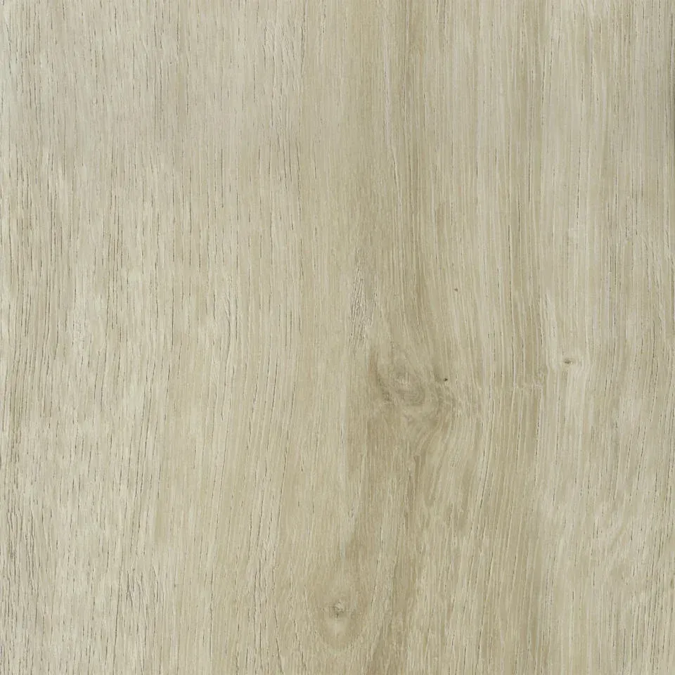 Rustic White Maple