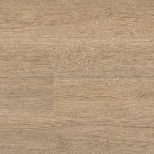 Sandy Clay 705