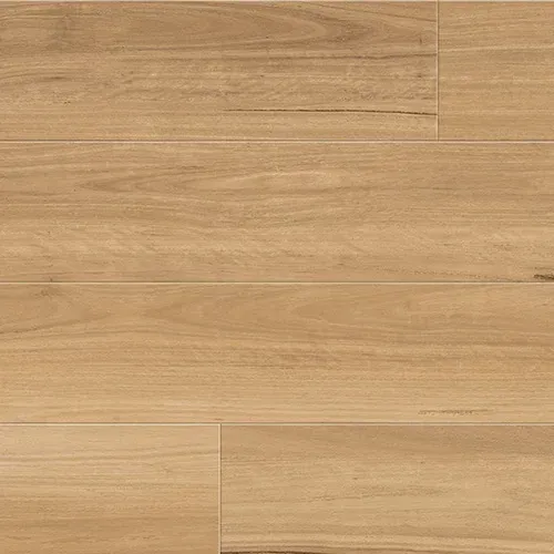 Coastal Blackbutt 855