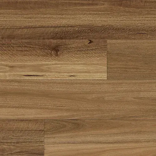 NSW Spotted Gum 855