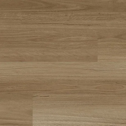 New England Blackbutt 977