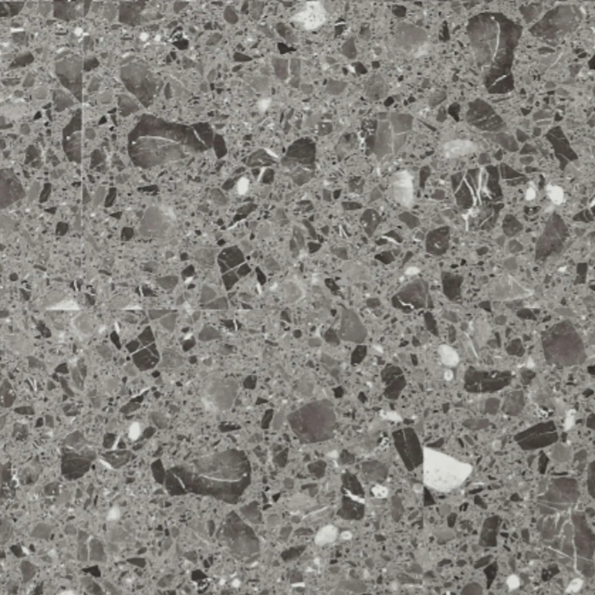 Dova Grey