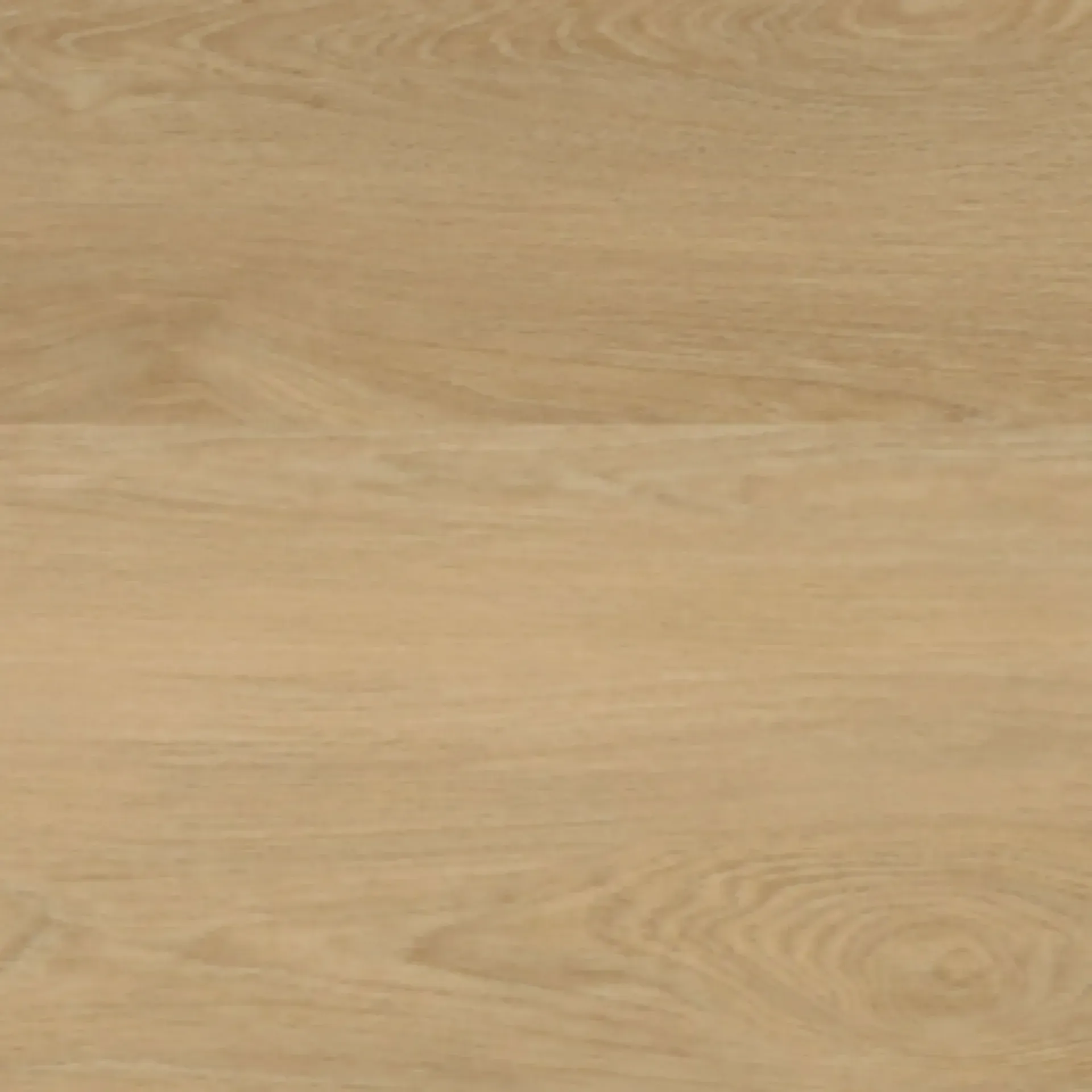 Coastal Beige