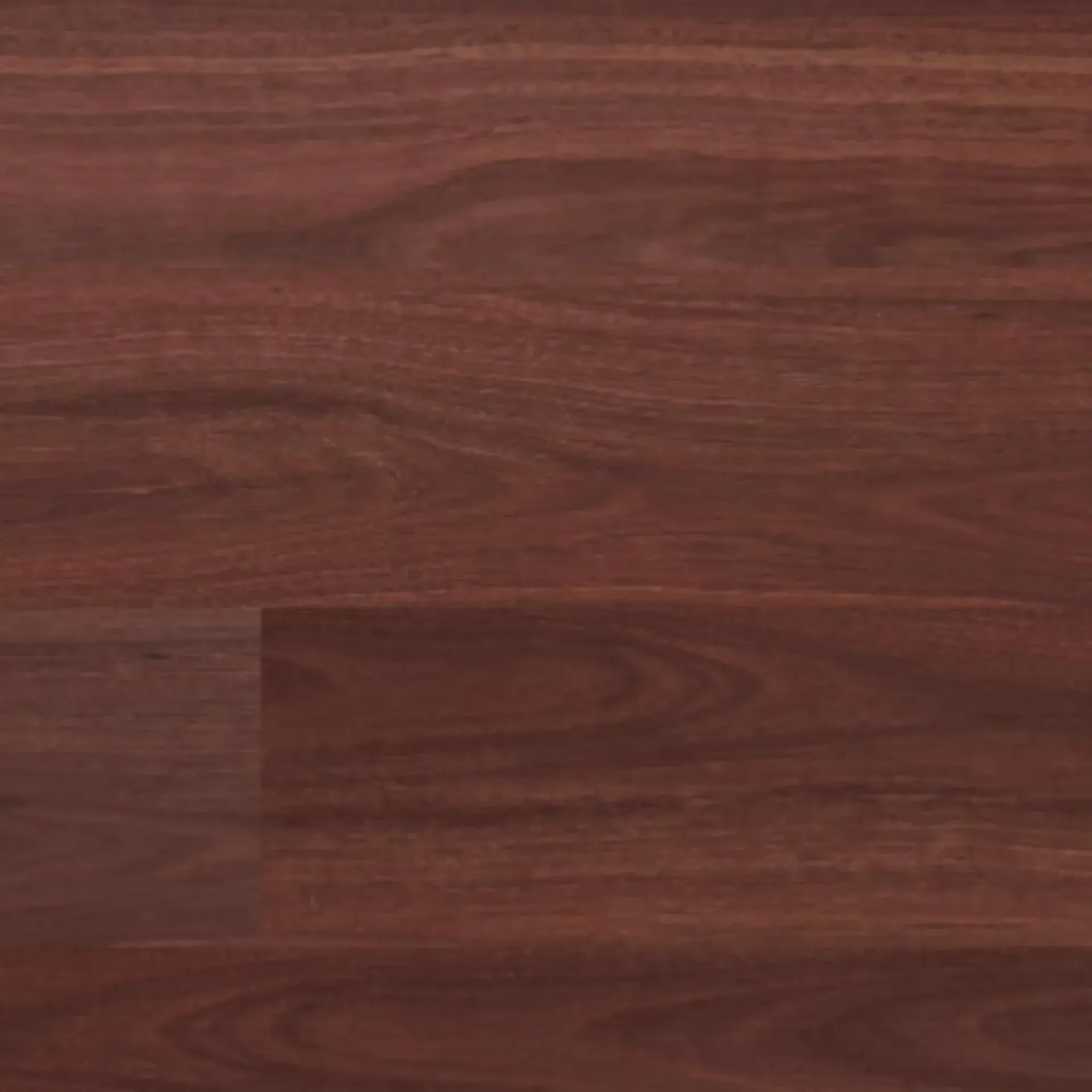 Jarrah