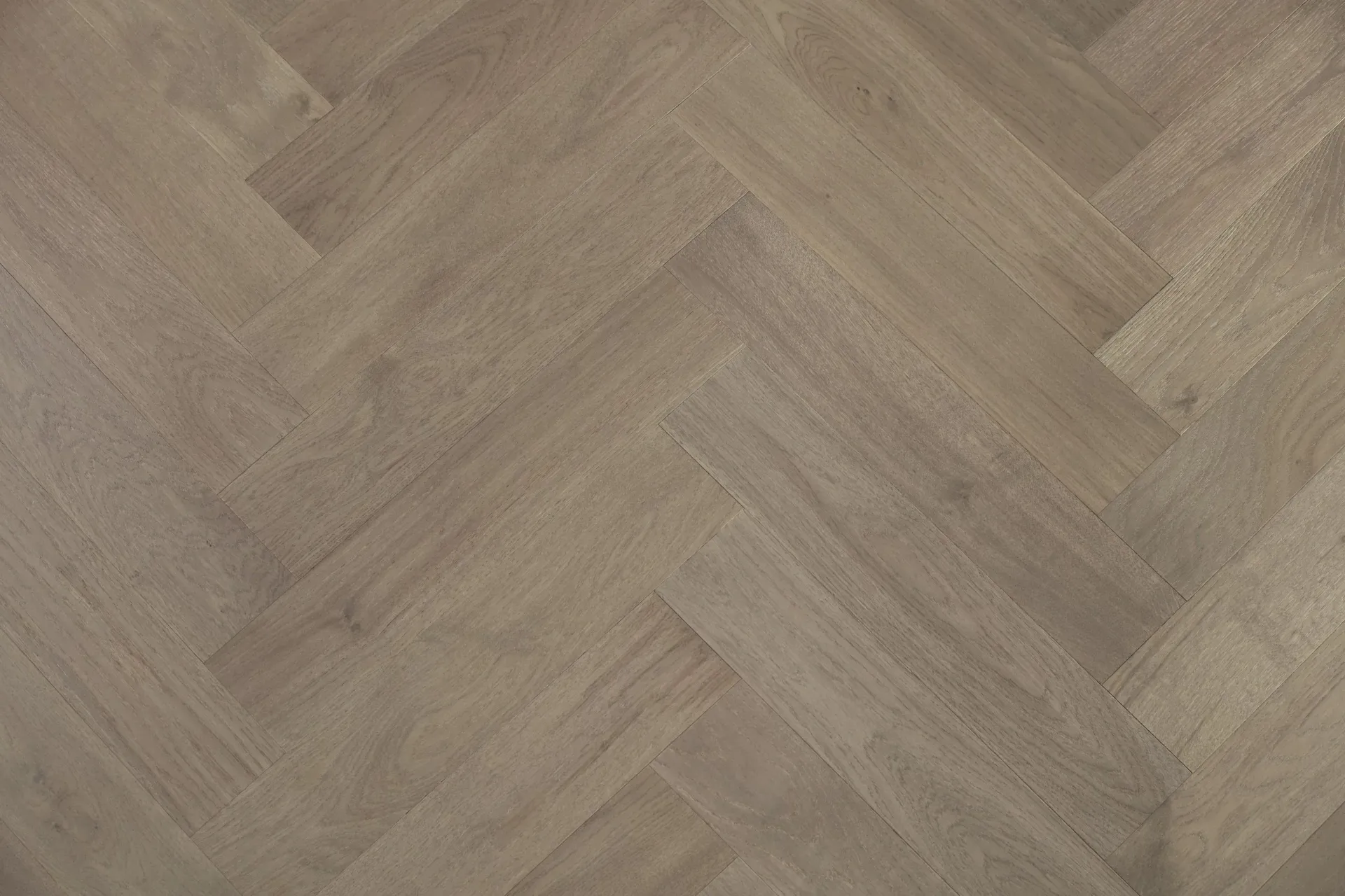 Marrone Oak