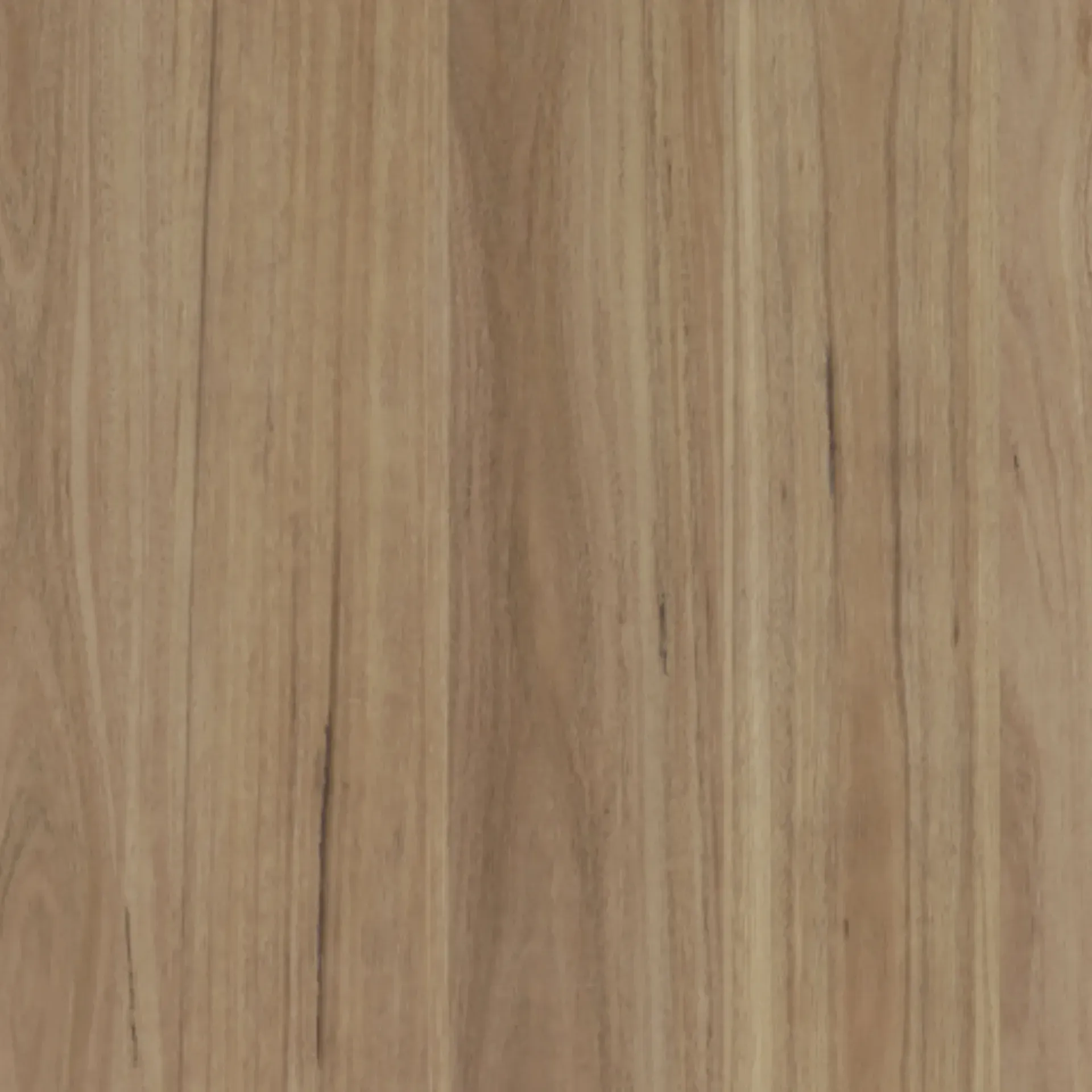 Blackbutt LU