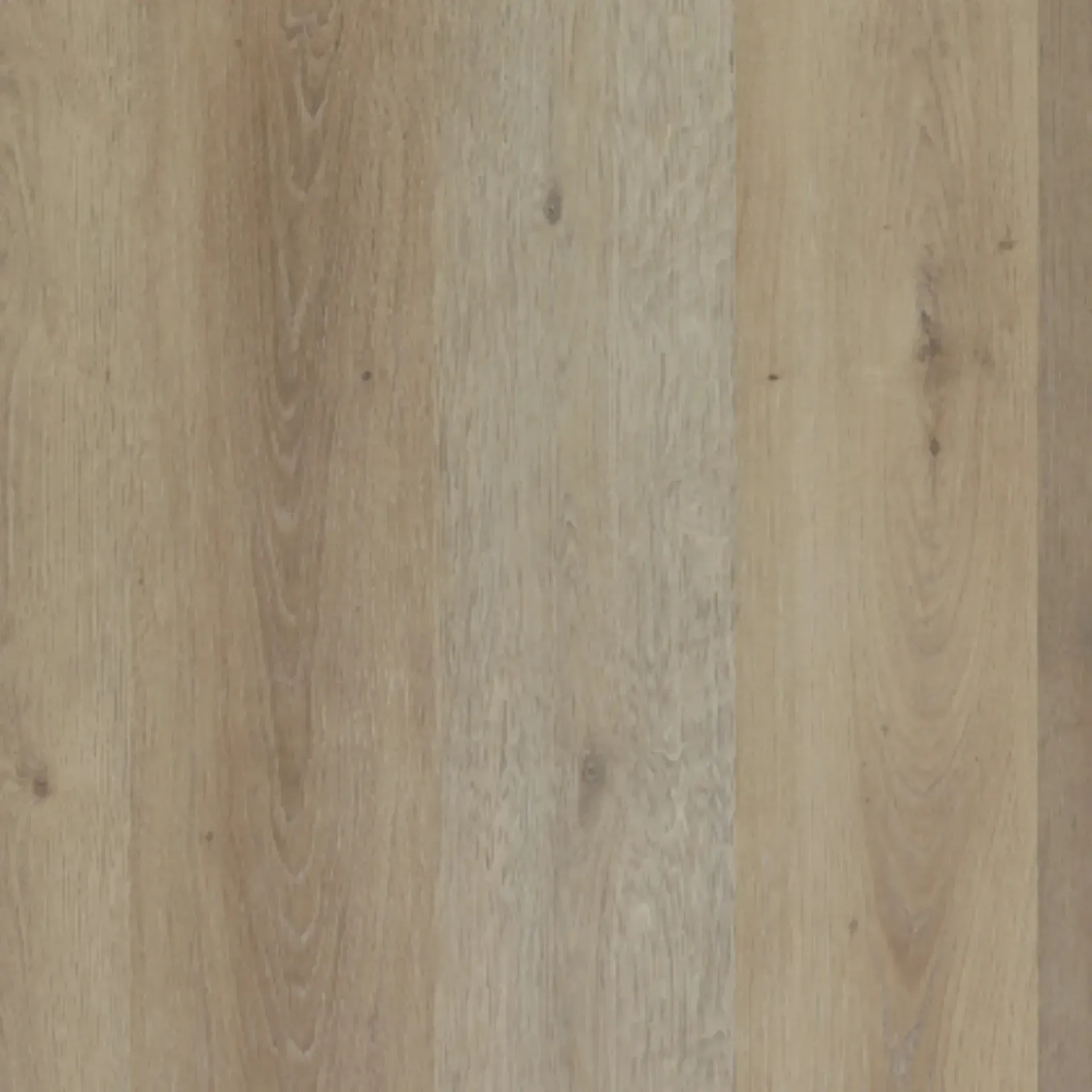 Lakeview Oak LU