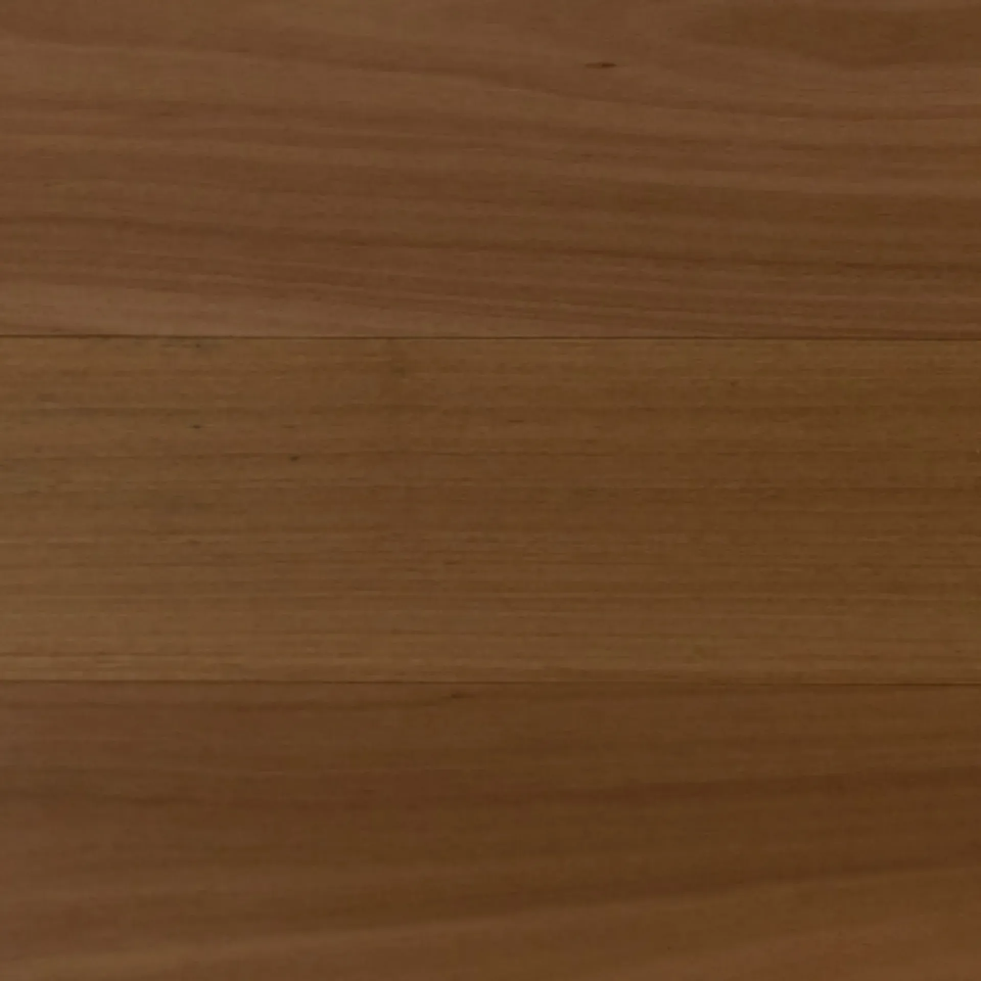 Blackbutt SDW