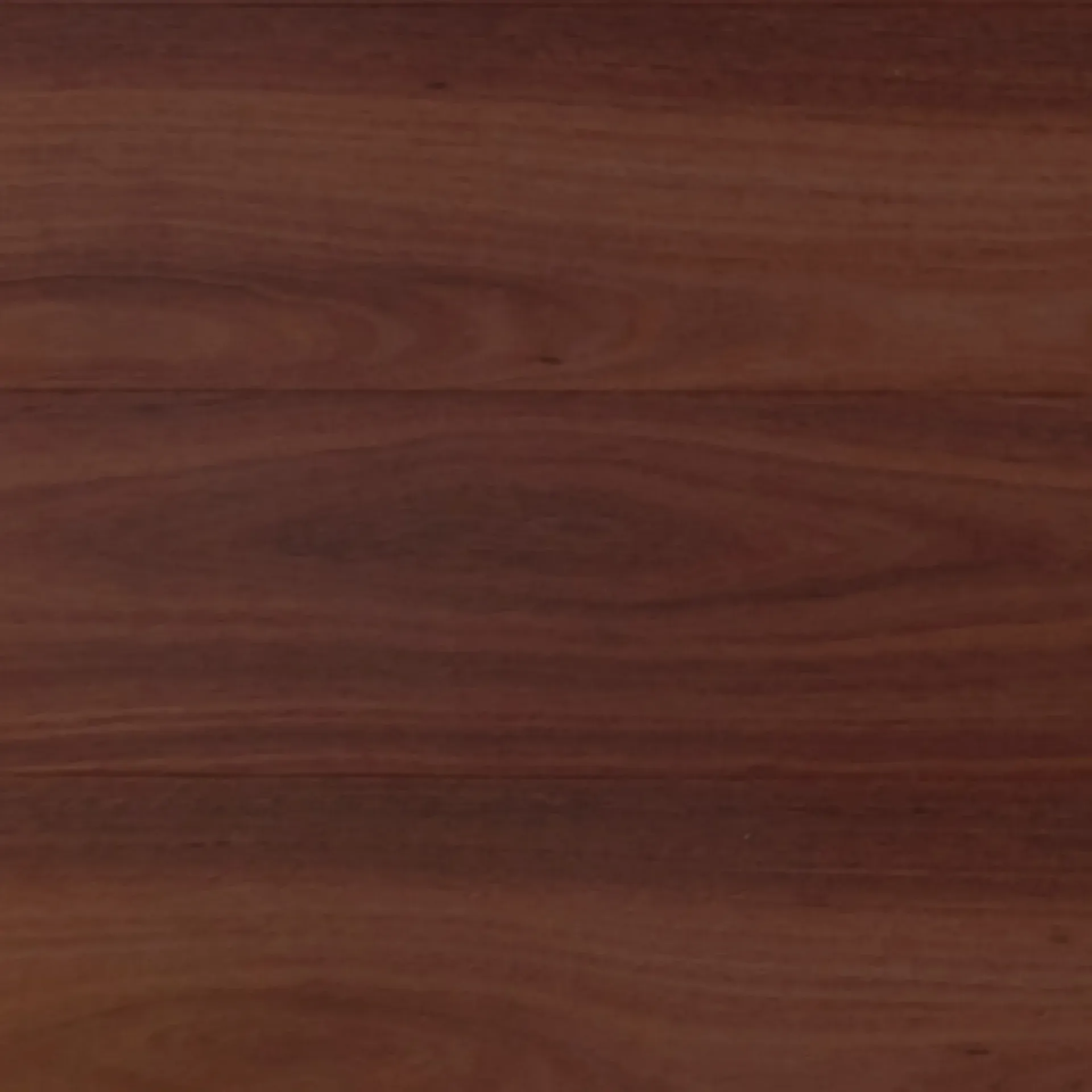 Jarrah SDW