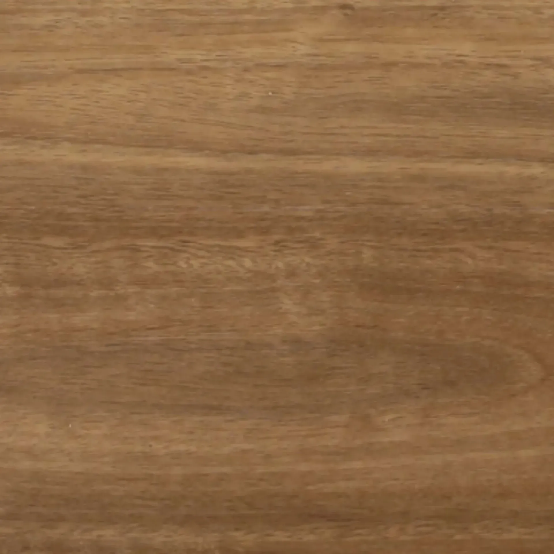 NSW Spotted Gum SR