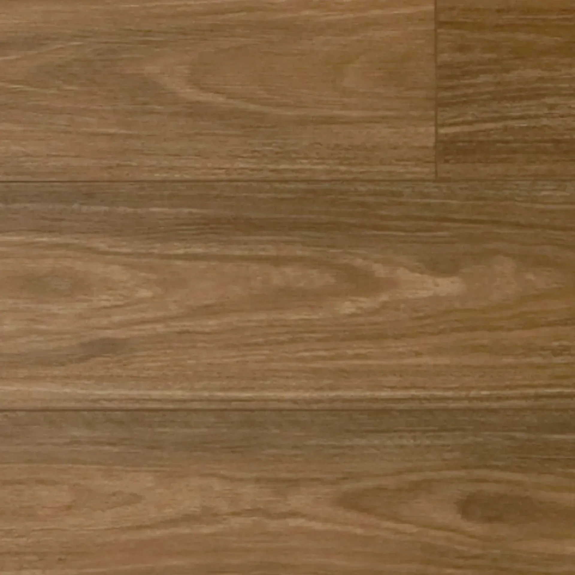 Spotted Gum SR