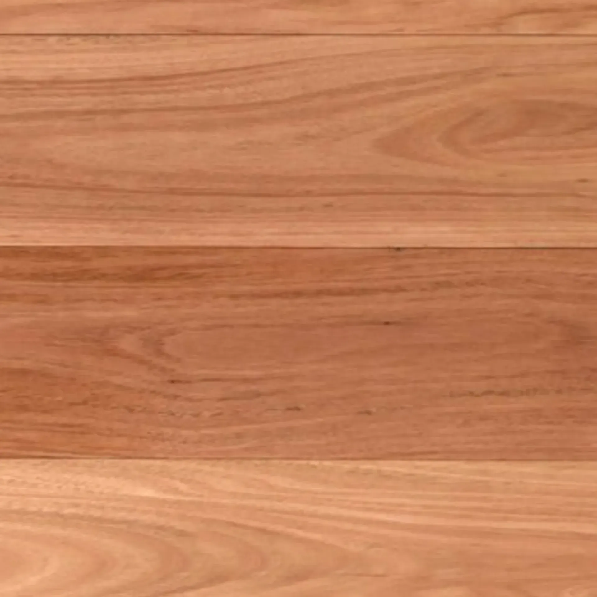 Blackbutt