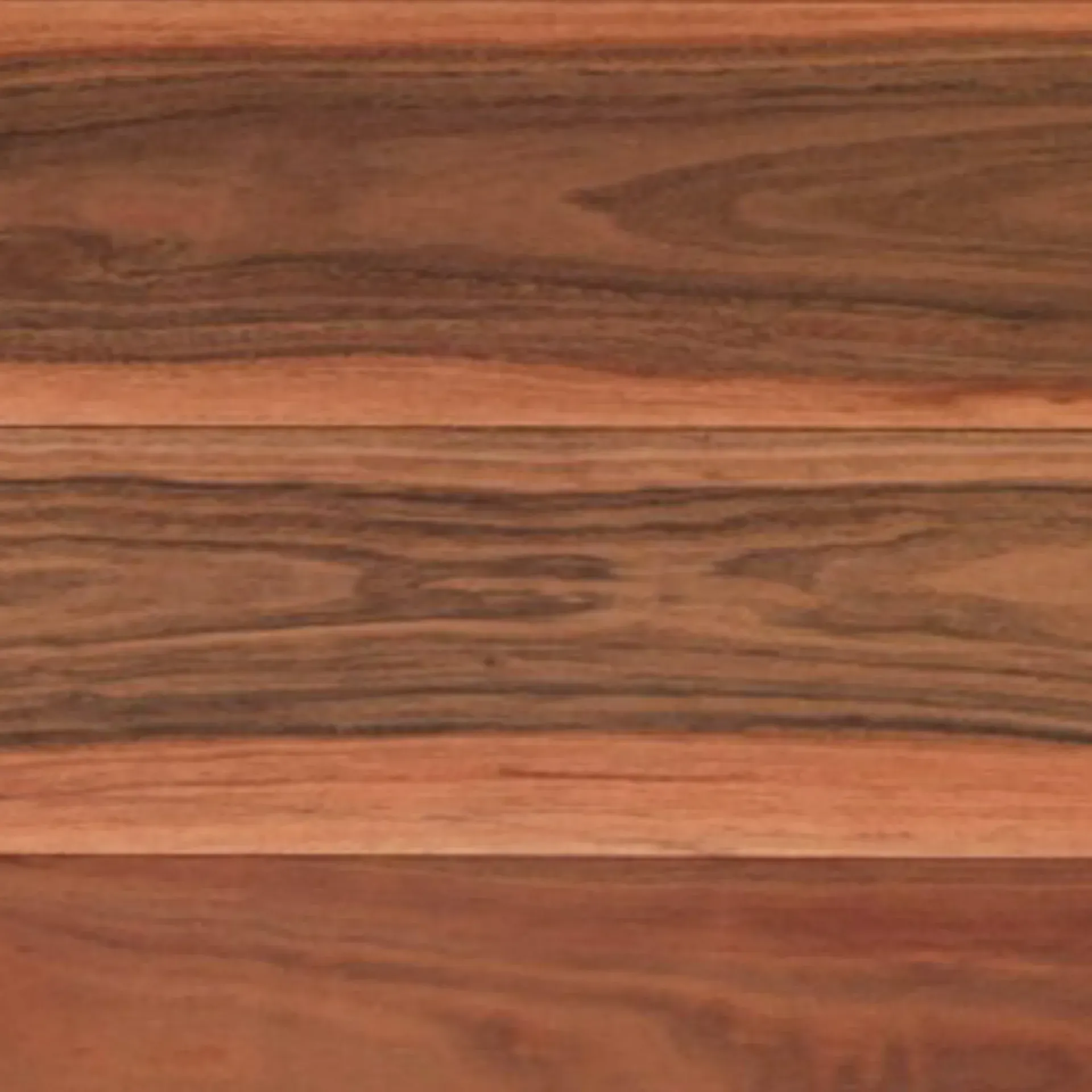Grey Iron Bark