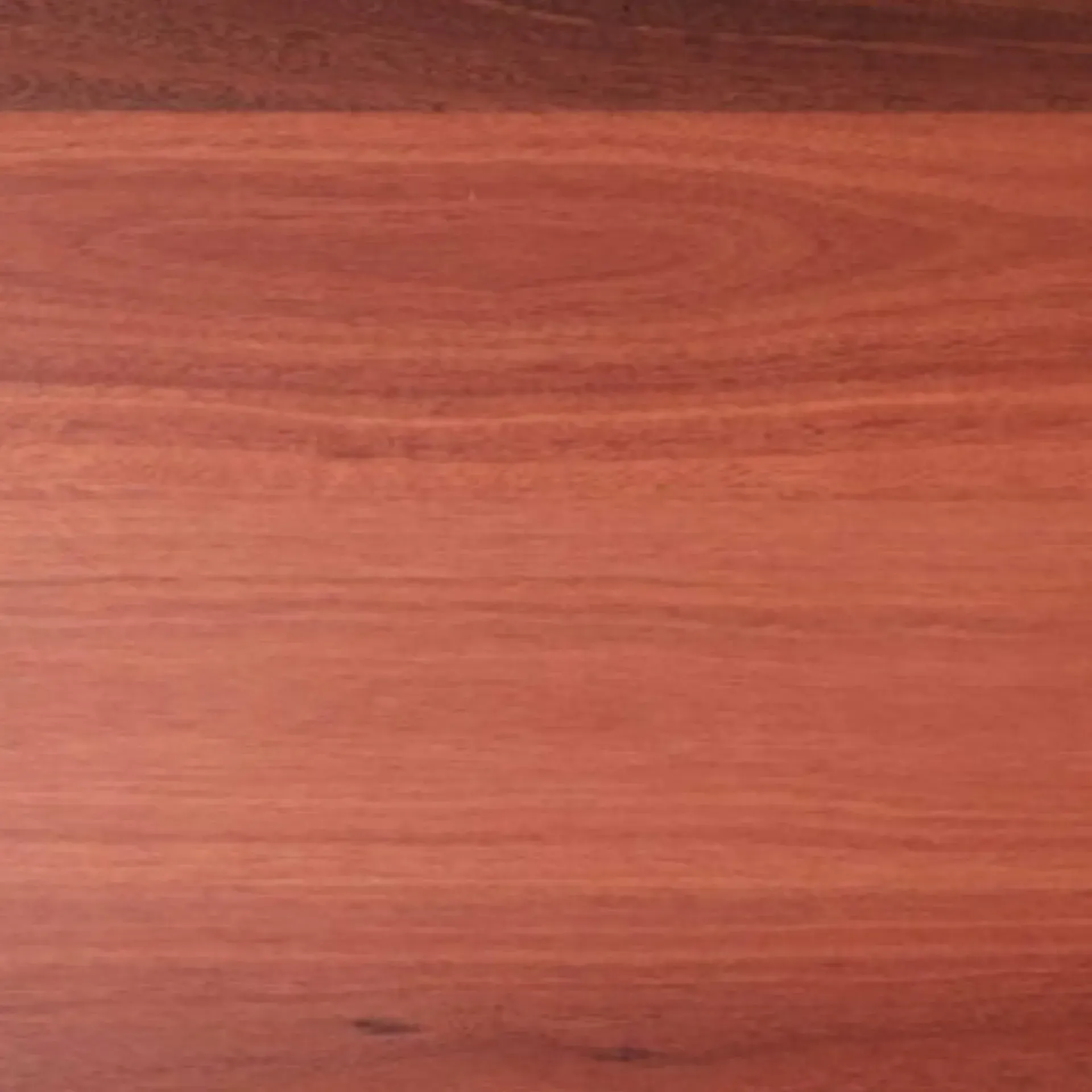 Jarrah