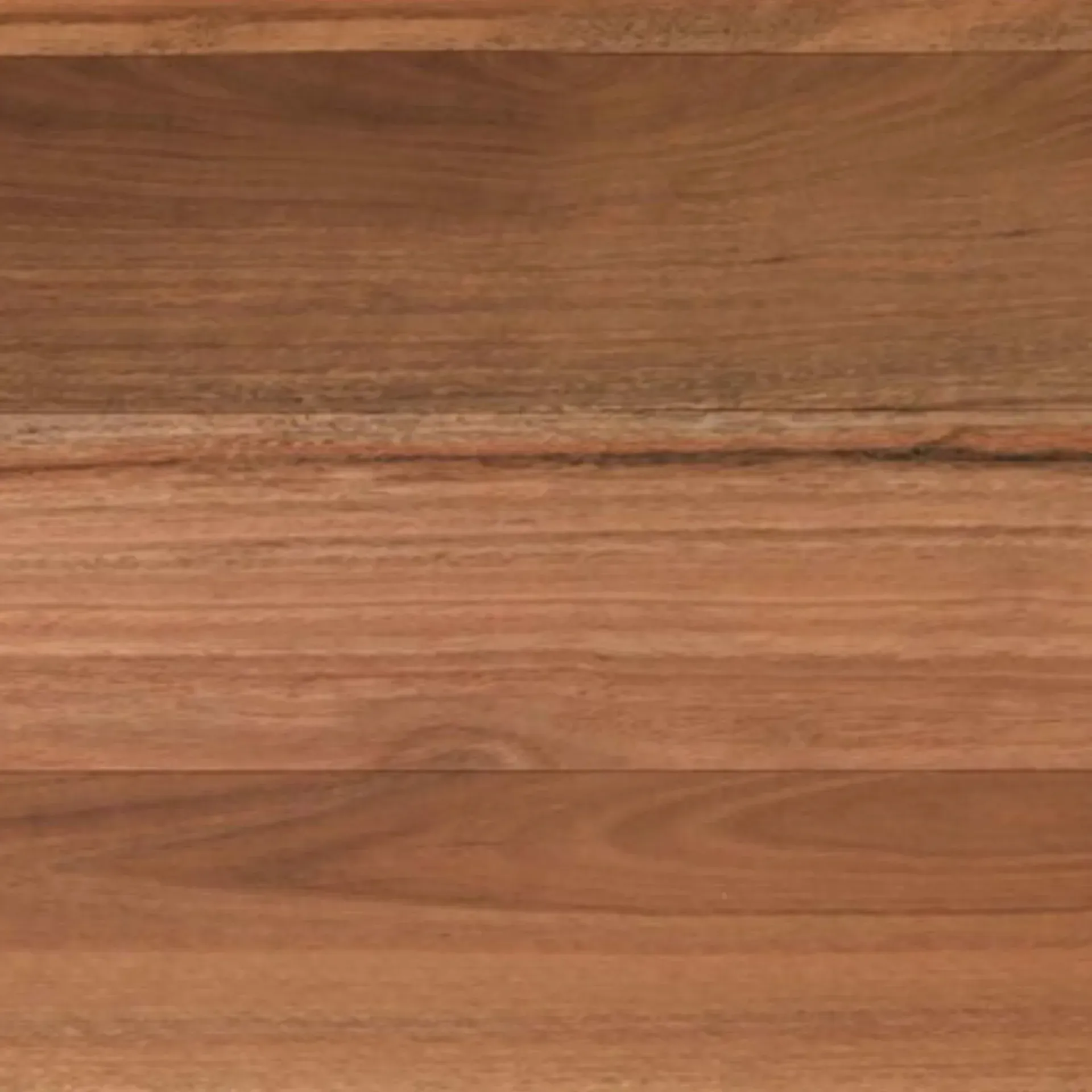 Spotted Gum