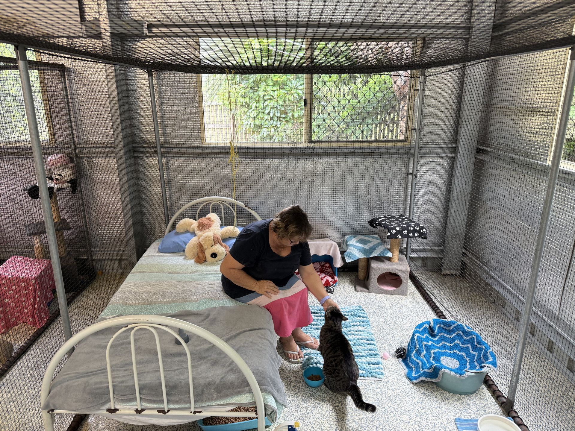 A Woman Is Sitting On A Bed With Two Cats In A Room โ Yeppoon Boarding Kennels & Cattery In Farnborough, QLD
