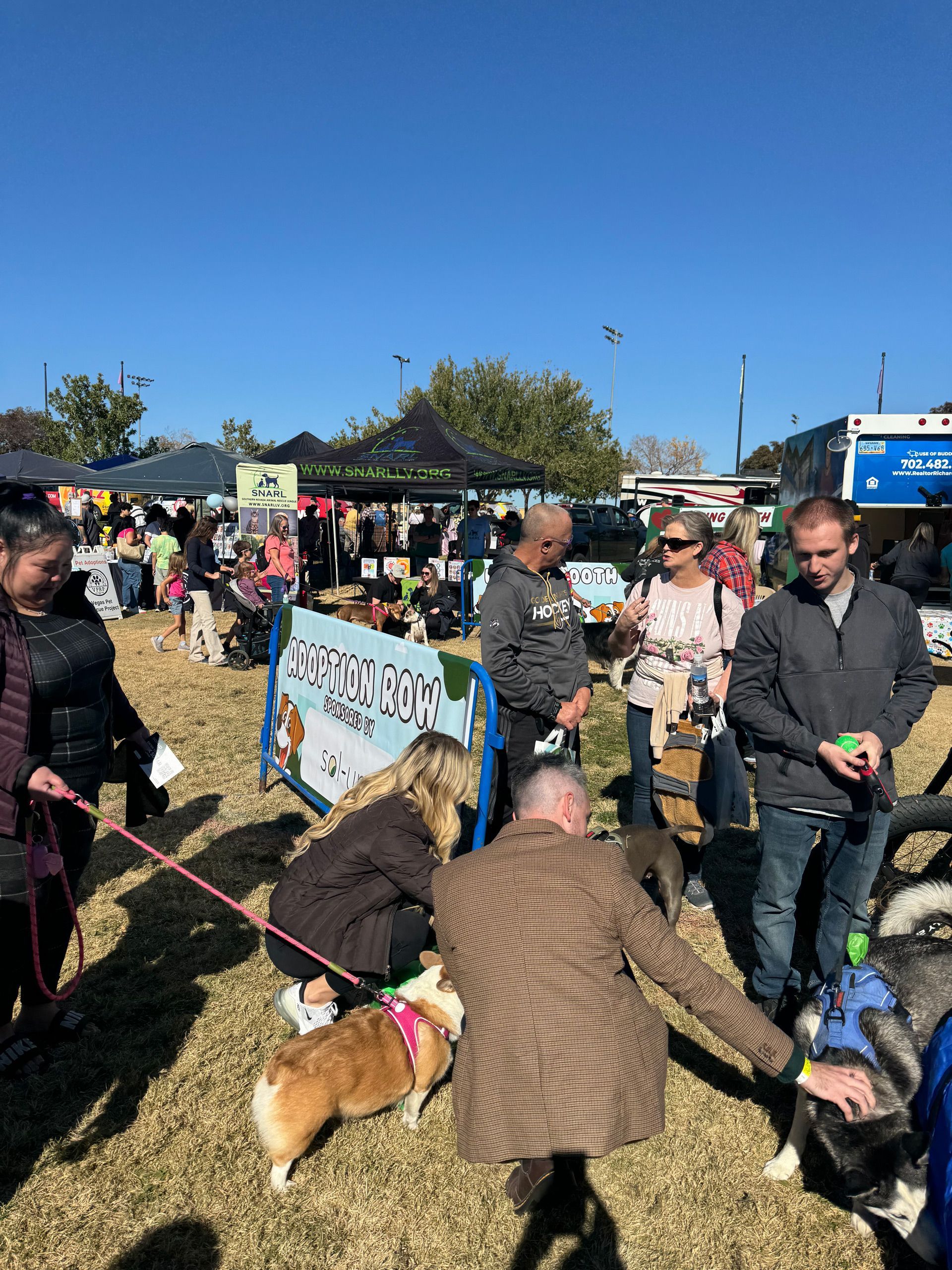 People with dogs at a crowded outdoor event under a clear blue sky