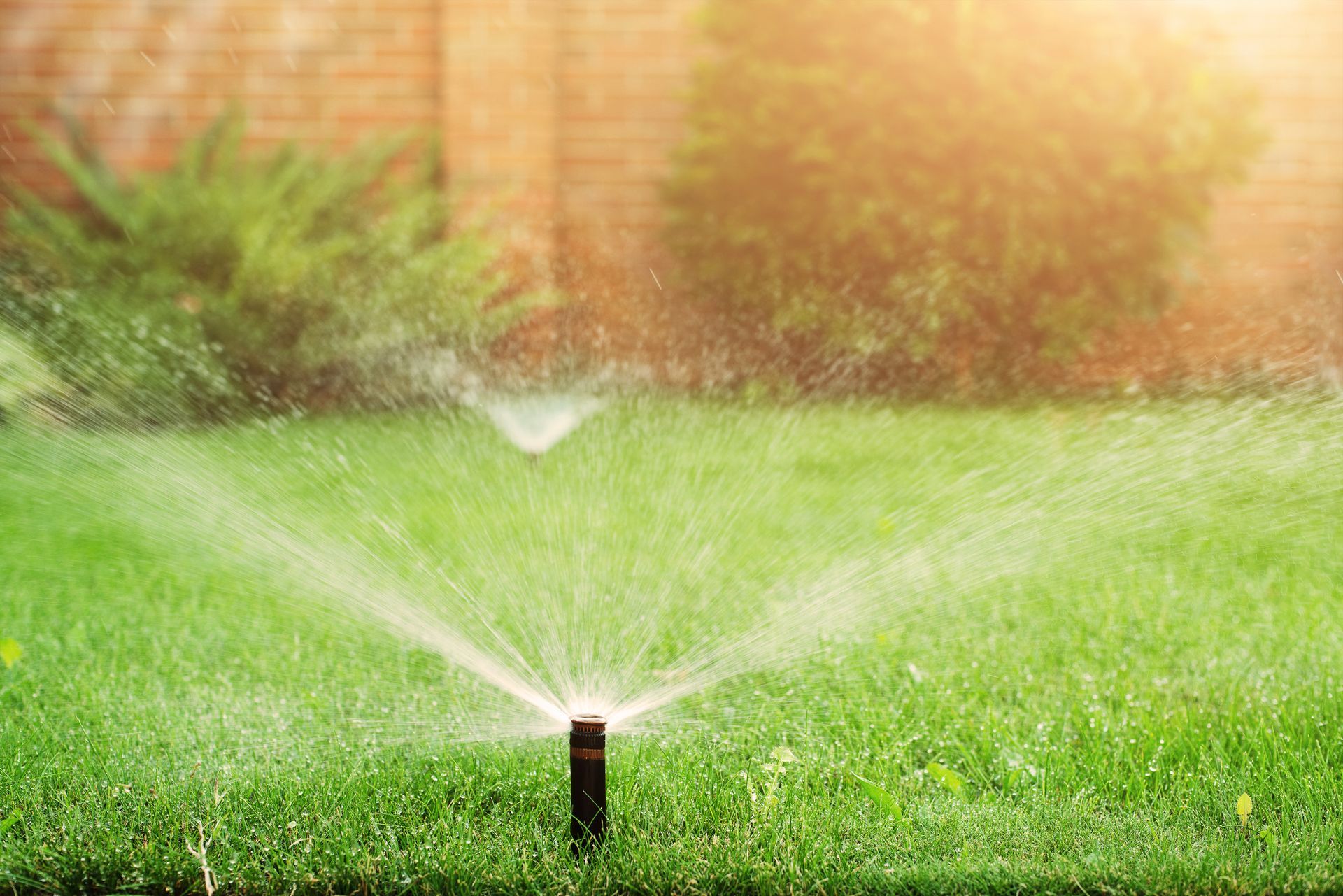 Impianti di Irrigazione: Scopri il Segreto di un Giardino sempre Verde e Rigoglioso