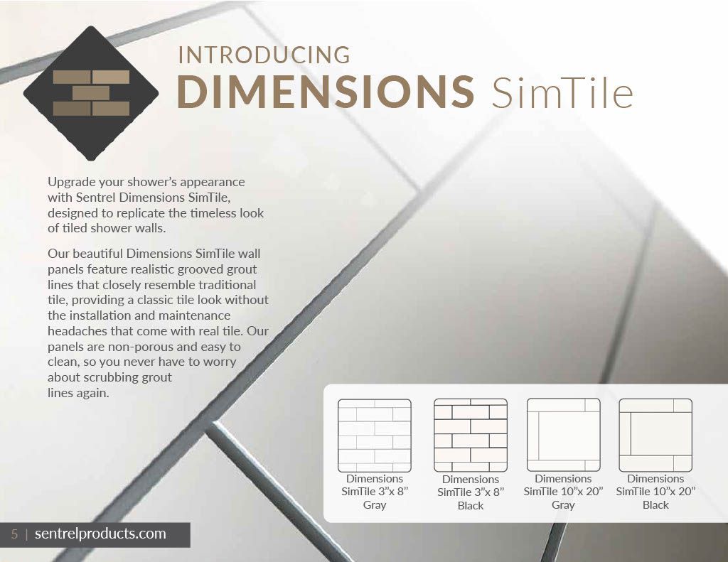 A poster that says introducing dimensions simtile on it