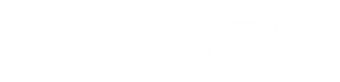 conveyortek