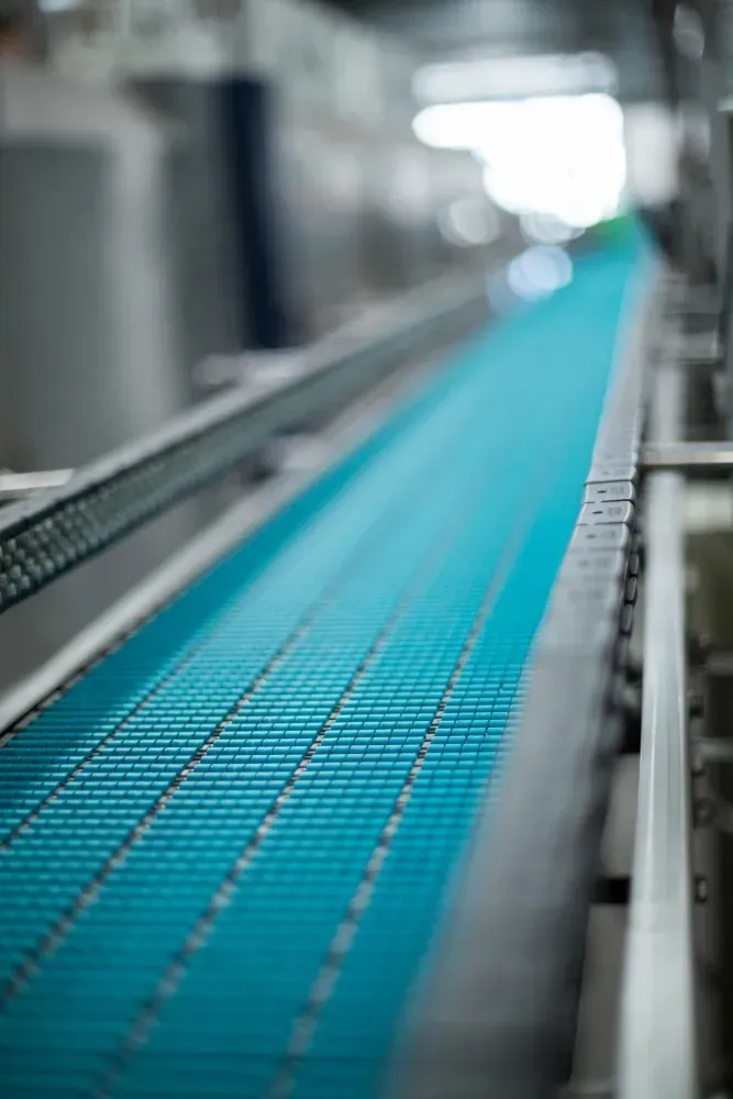 A blue conveyor belt is moving in a factory in Tampa, FL.