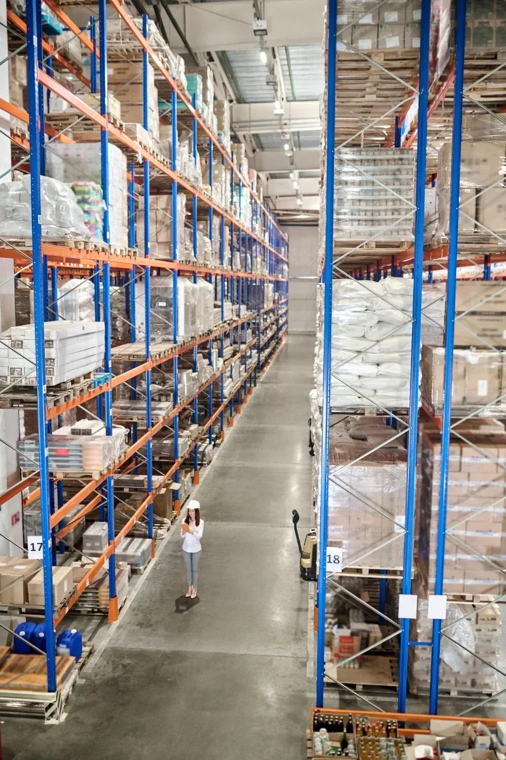 conveyor service winston