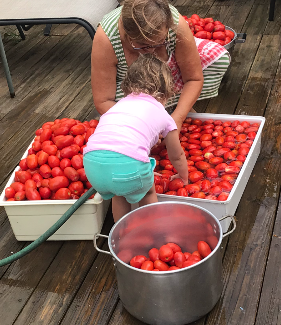 An adult and a small child washing many red tomatoes in large plastic bins on a wooden deck.