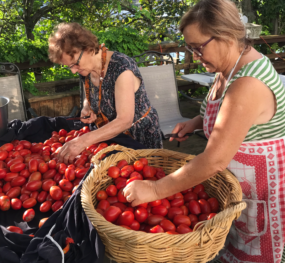 Two people sort a large harvest of tomatoes, one working from a woven basket and the other from a black cloth.