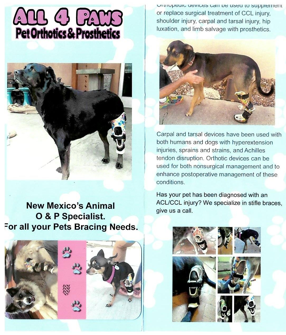 vet information Albuquerque, NM Good Shepherd Animal Clinic