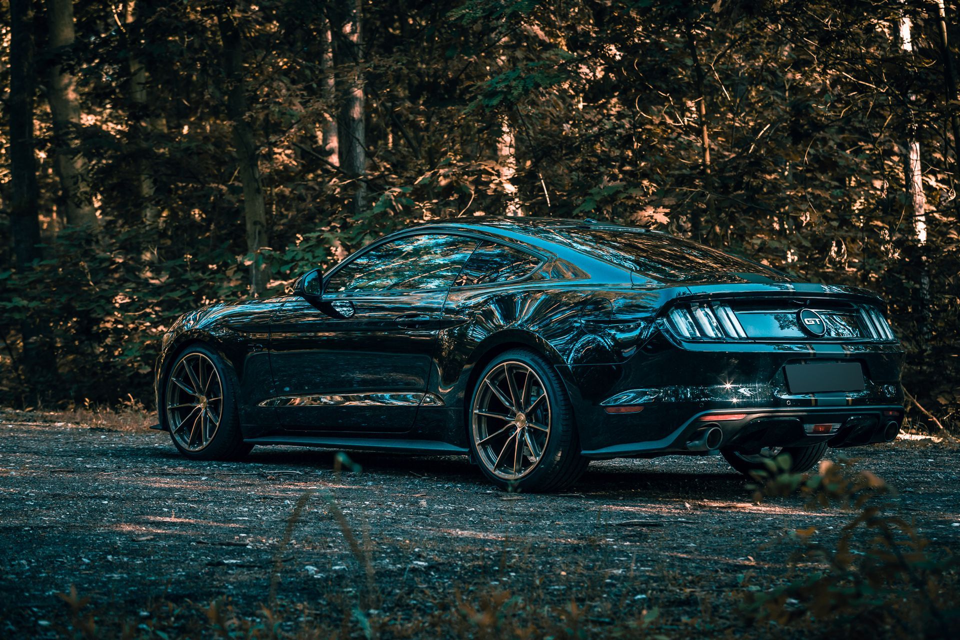 Una mustang nera è parcheggiata su una strada sterrata nel bosco.