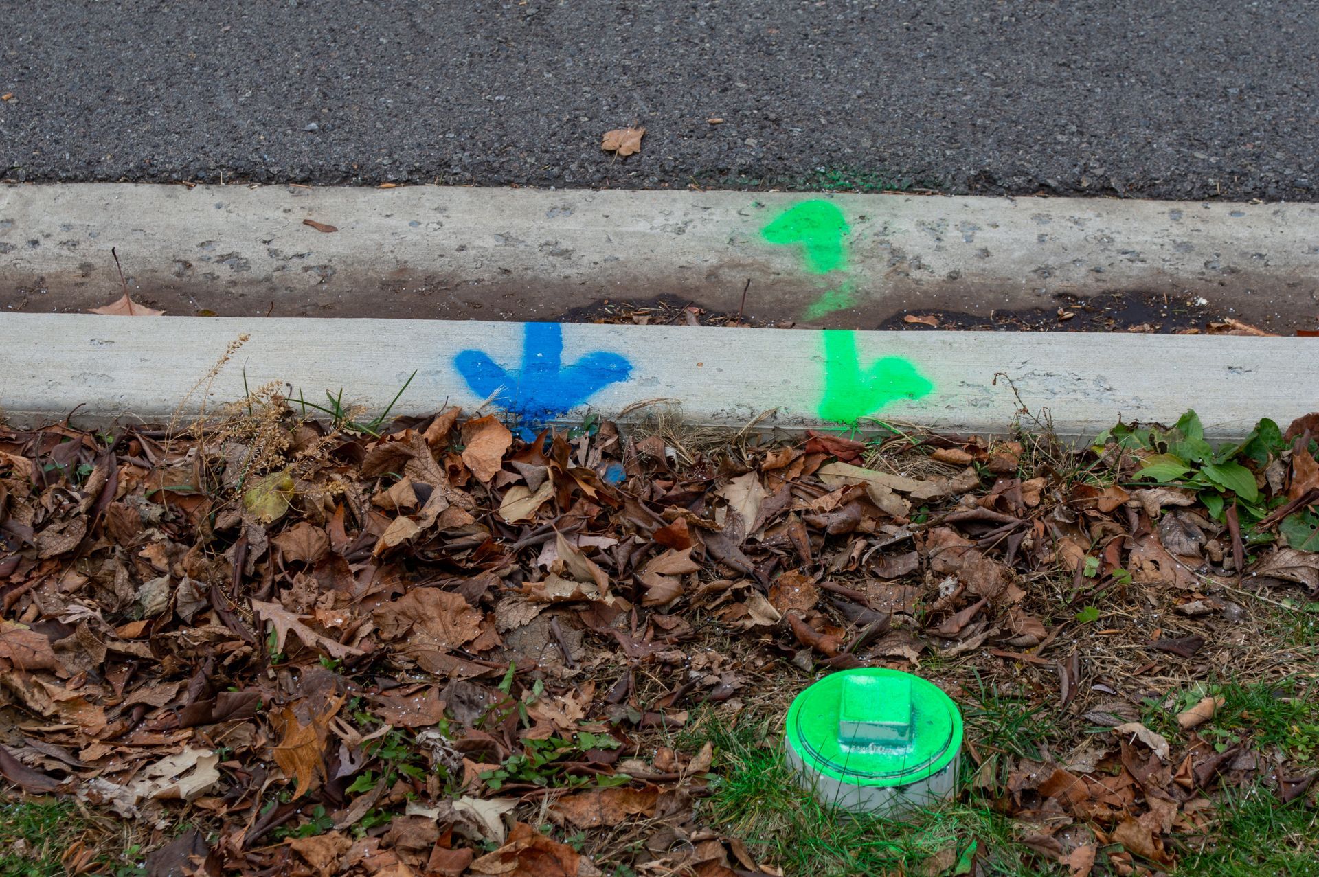 Colored spray paint marks on a curb and leaves, with a green utility marker cap near the bottom right