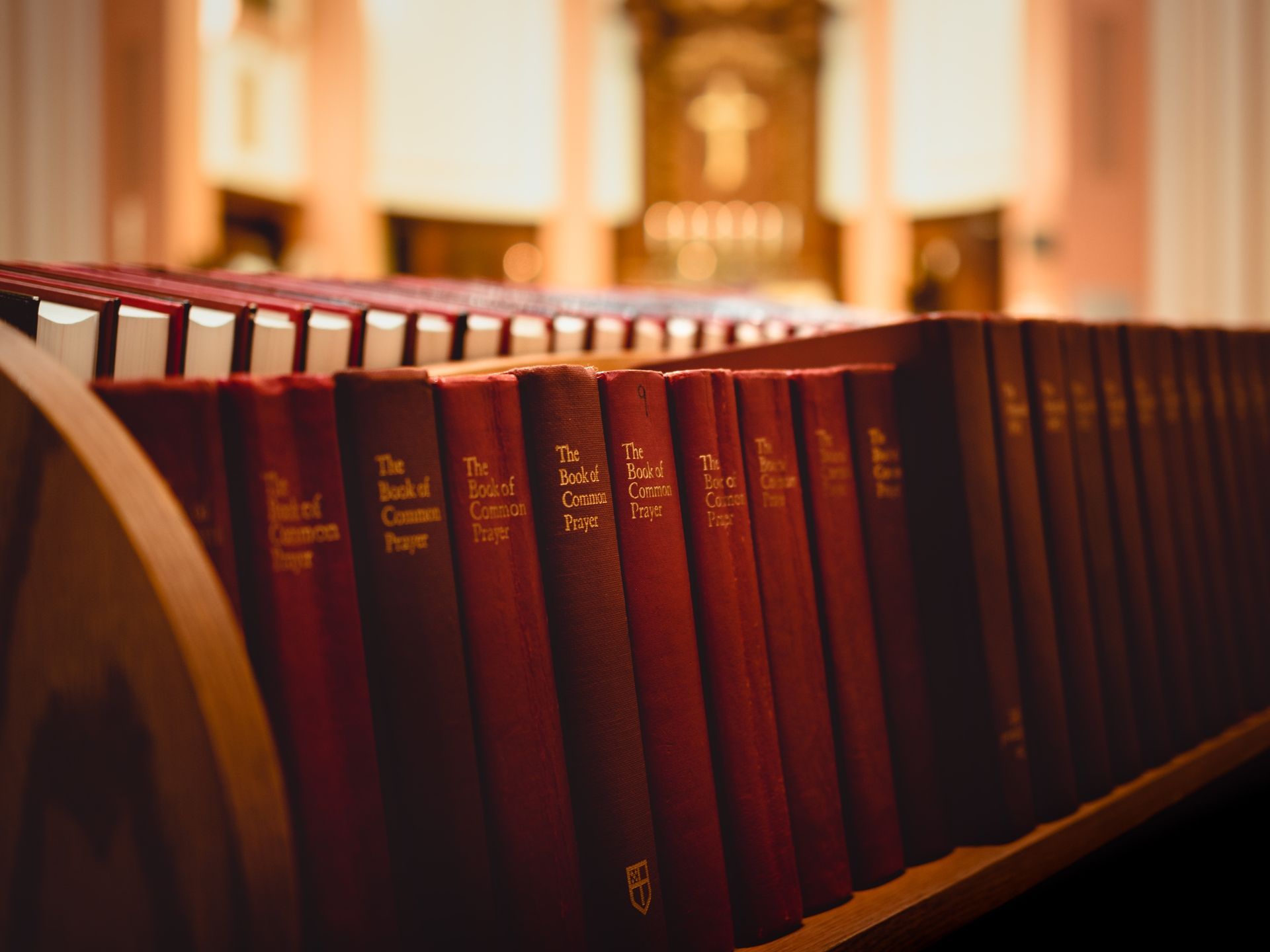 Row of maroon hardcover books on a library shelf with warm blurred background