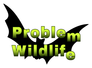 Problem Wildlife Problem Wildlife