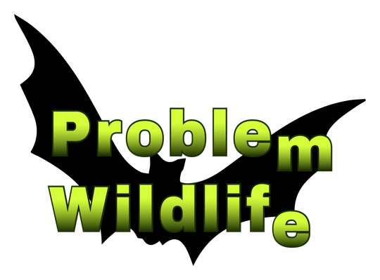 Problem Wildlife Problem Wildlife