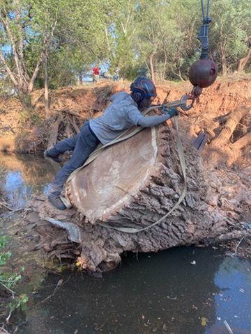 Person in a gray hoodie hauling a huge fish out of a muddy stream with a rope