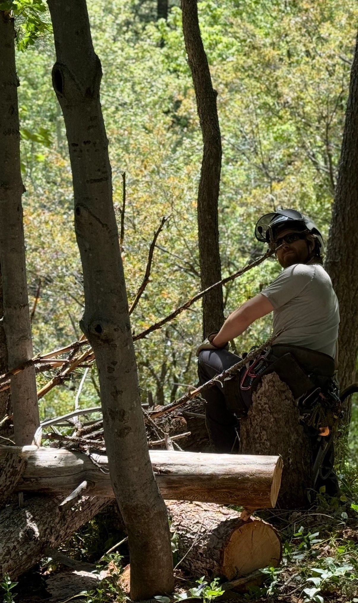 Person wearing a helmet sits on a log in a wooded area, holding a rope outdoors.
