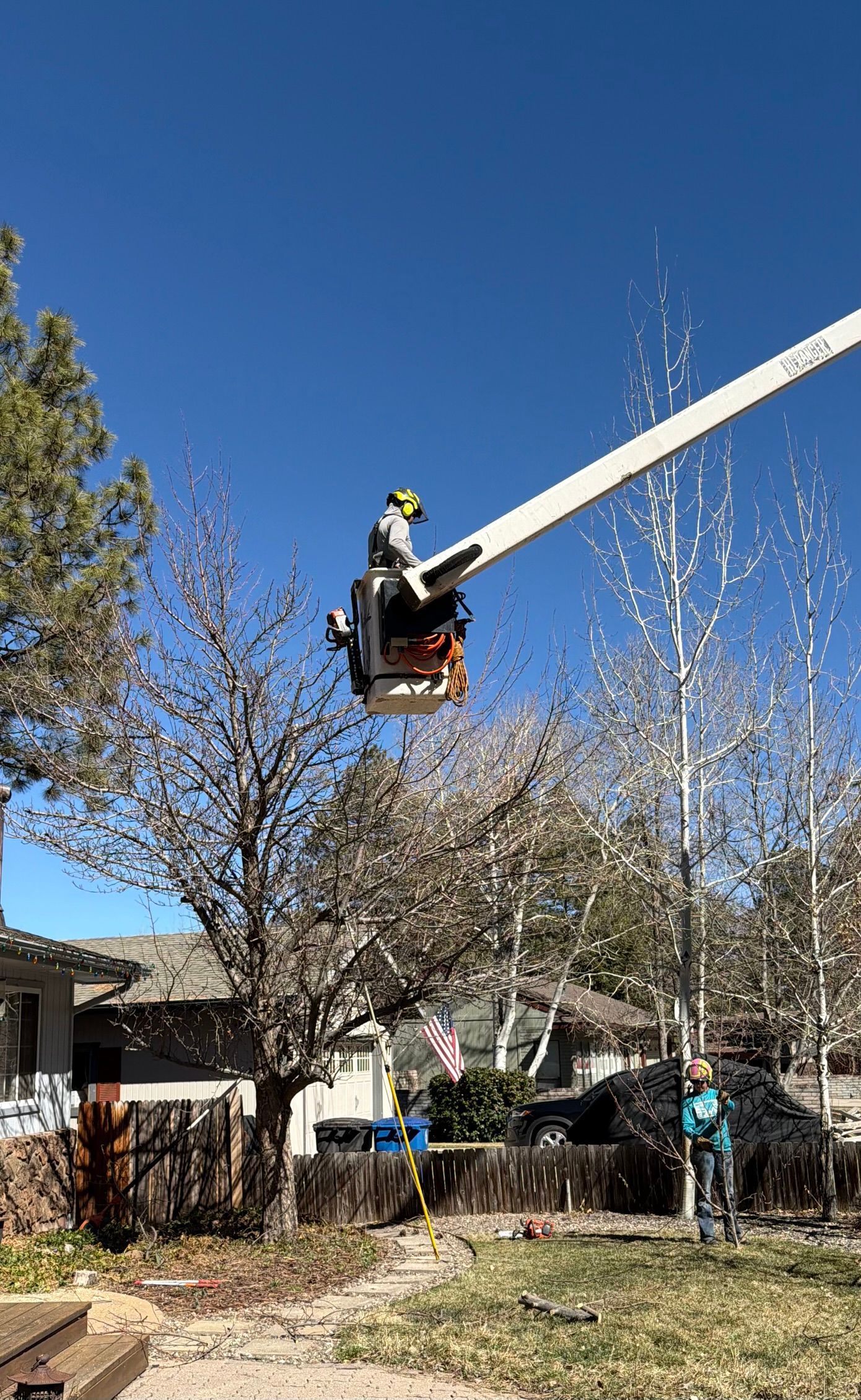 Worker in a bucket lift trims tree branches beside a house under a clear blue sky