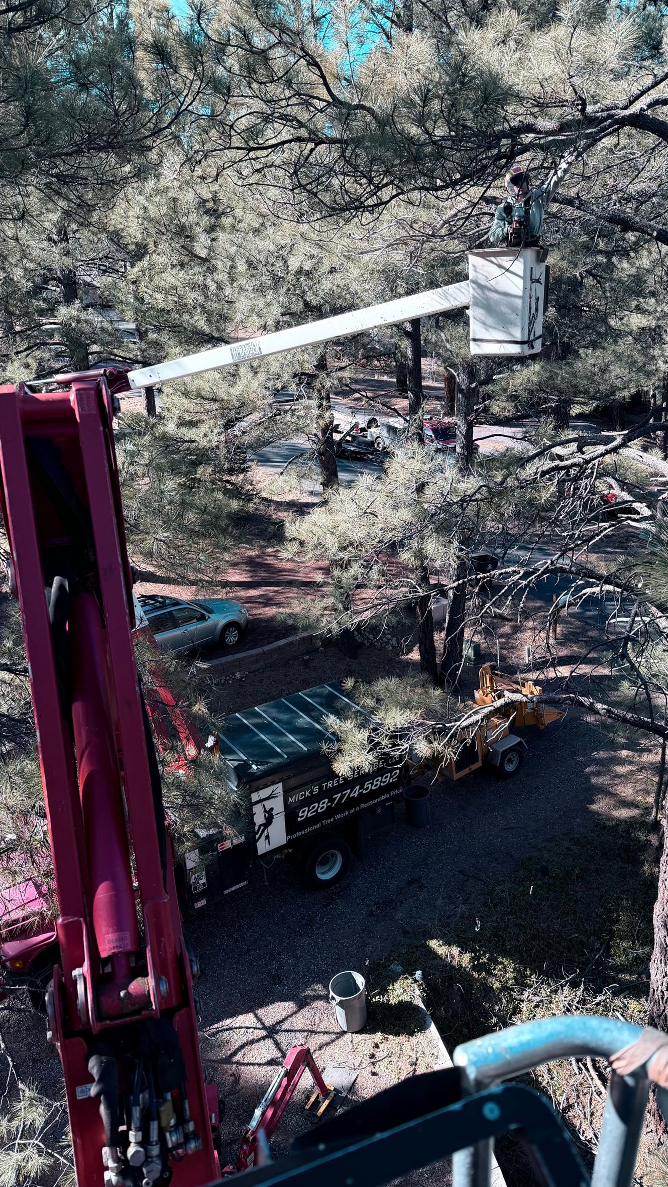 Worker in a cherry picker trimming tree branches beside a wooded roadside area