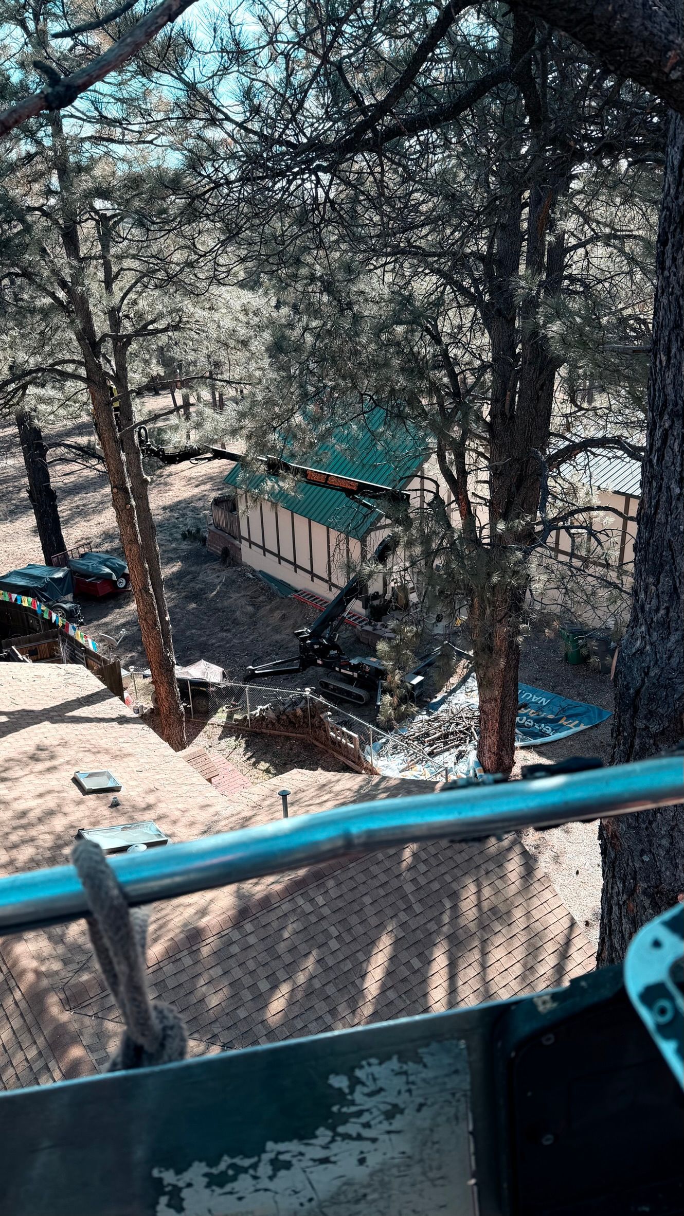 Small cabin with green roof among tall trees, viewed from a balcony with blue railing.
