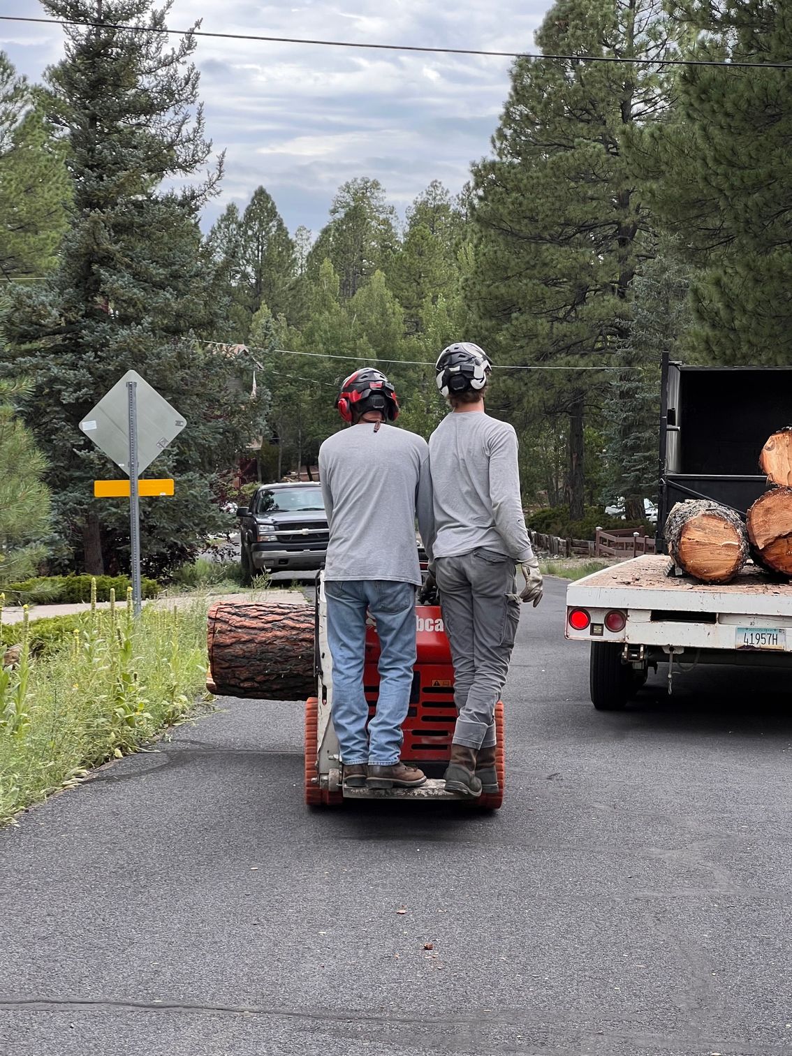Two people ride a red cart down a road beside a truck loaded with logs in a forested area