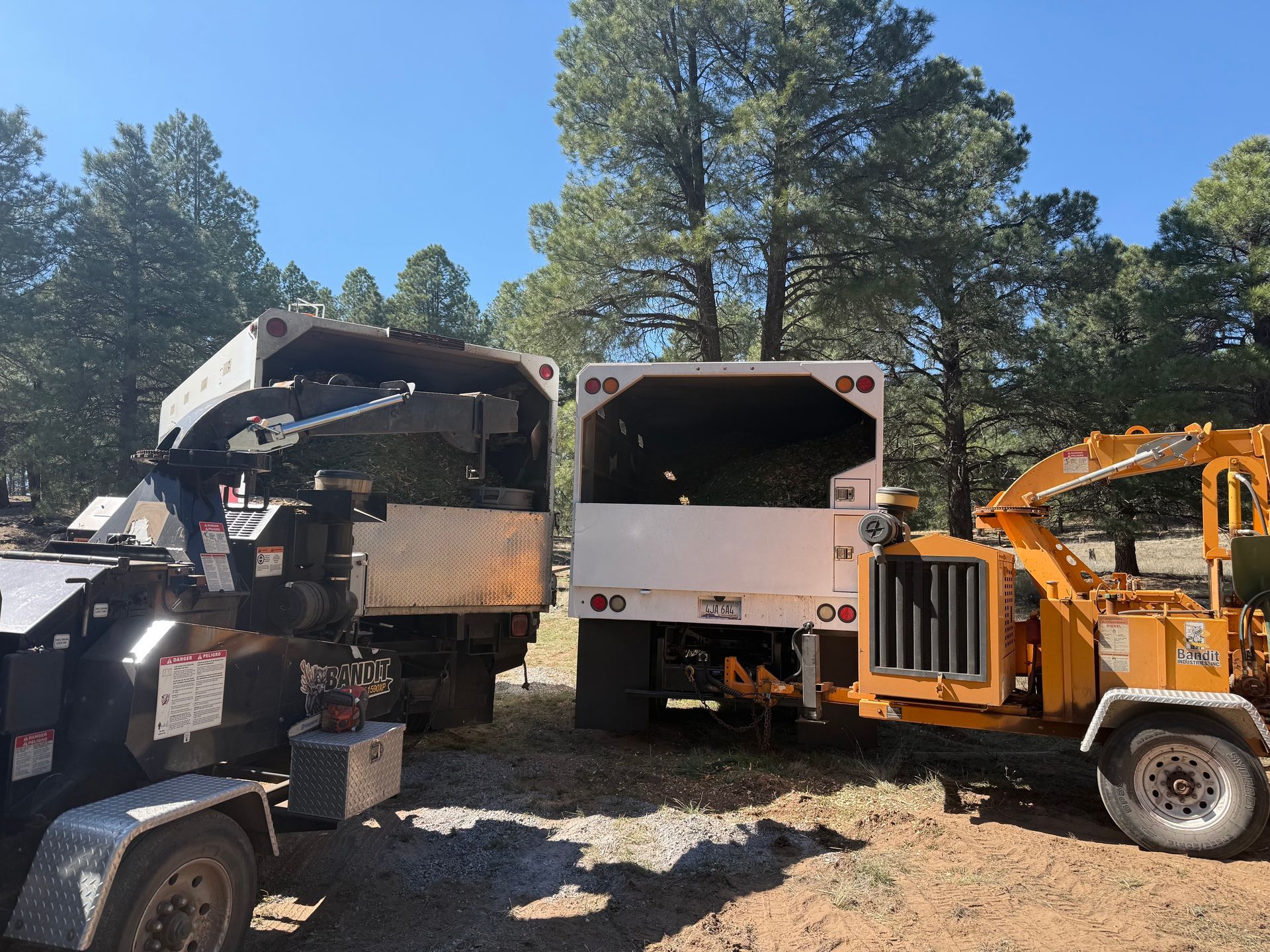 Three heavy trucks and construction equipment parked on gravel under pine trees and blue sky