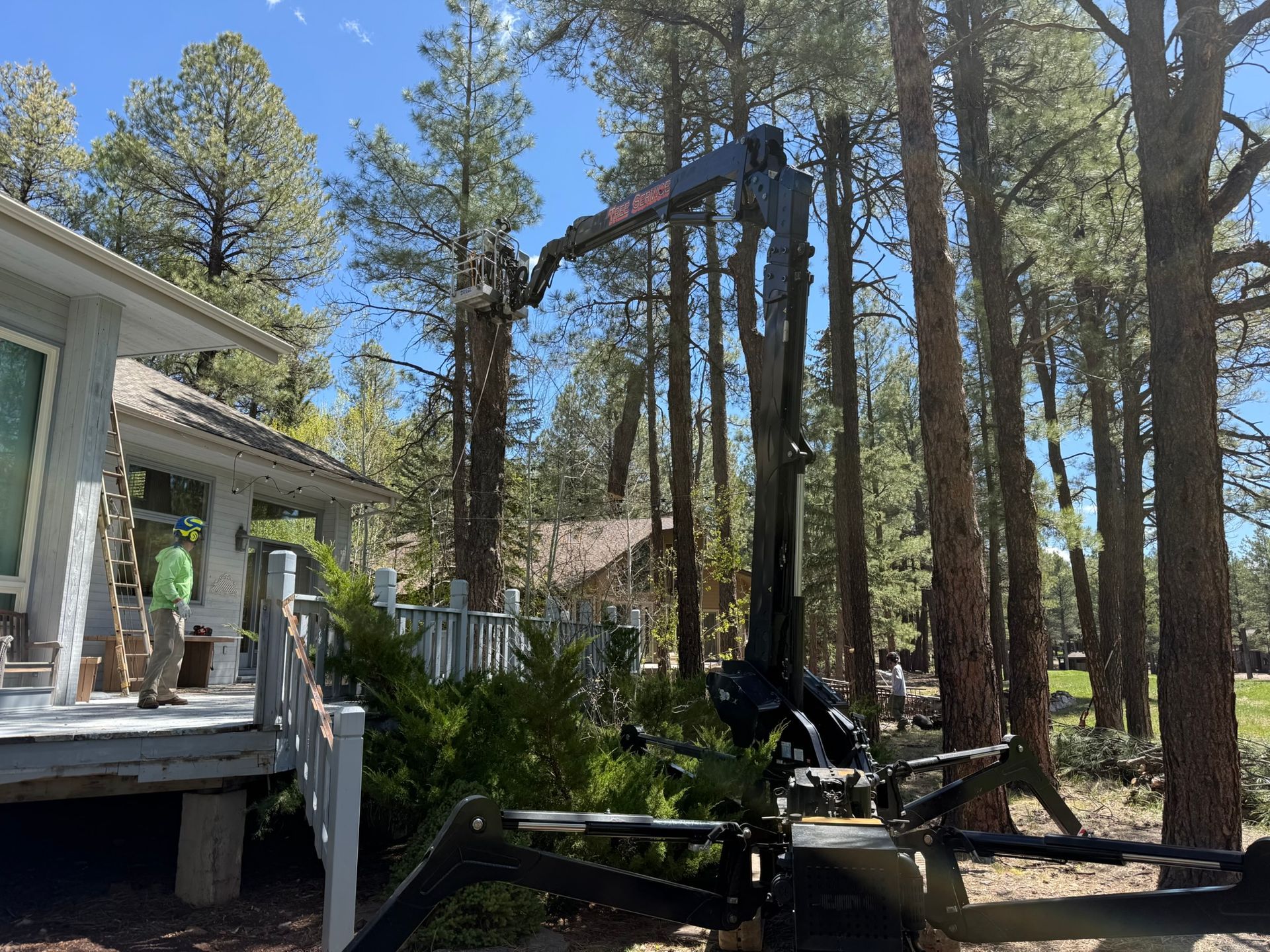 Backyard with tall pine trees, deck, and a large black wood splitter on the lawn